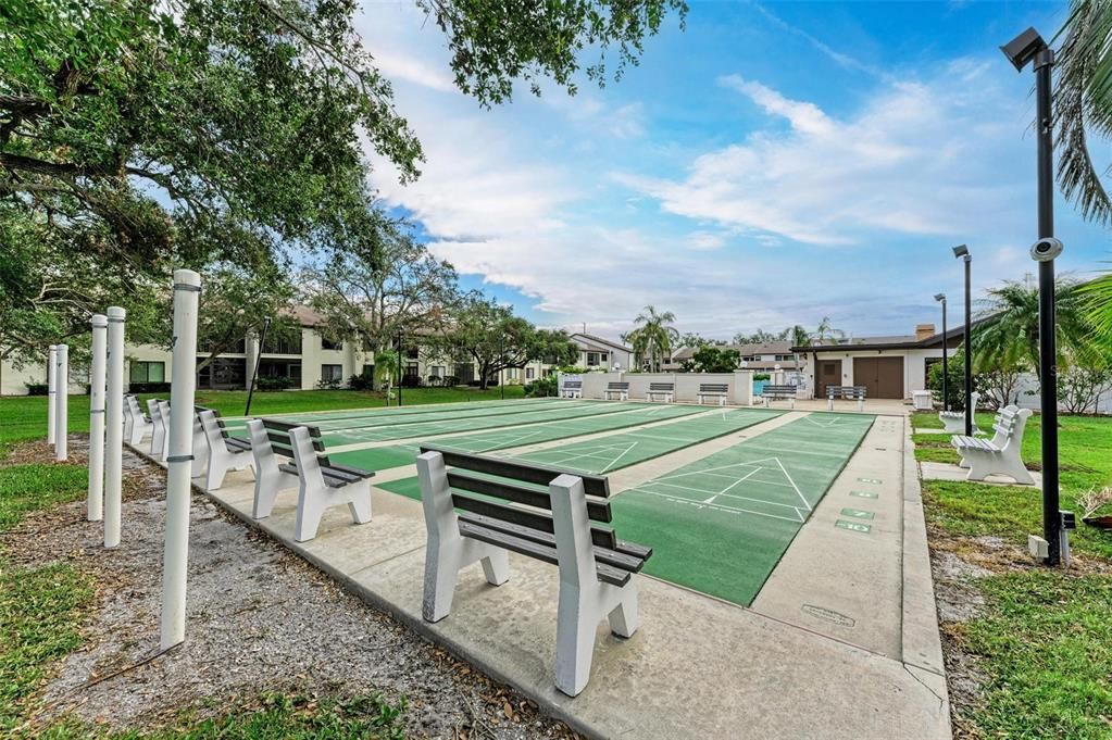 Shuffleboard courts