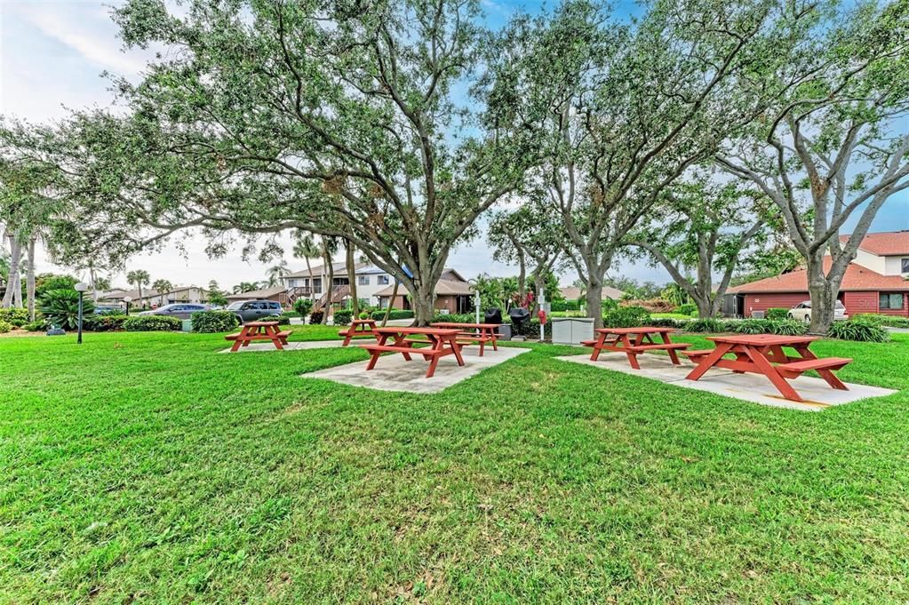 Picnic area across the street