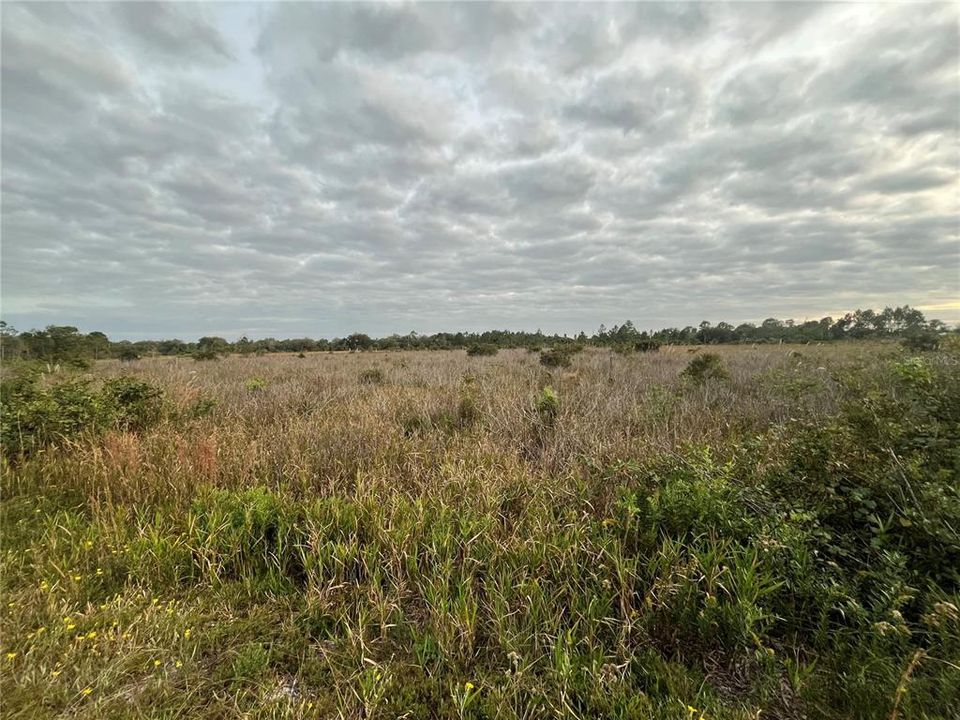 For Sale: $21,500 (1.25 acres)