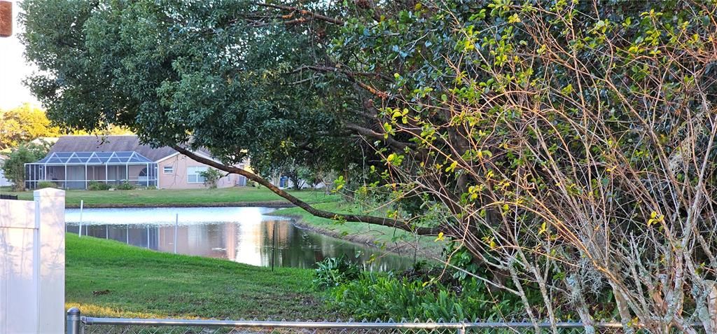 Neighboring Pond view