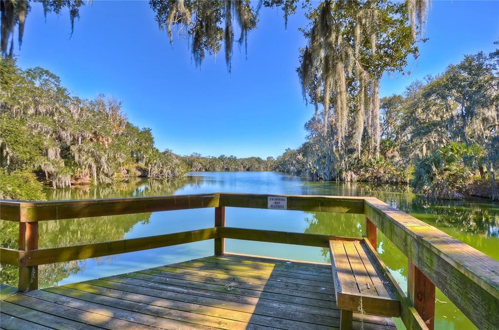 COMMUNITY BOAT & DOCK AREA