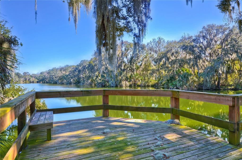 COMMUNITY BOAT & DOCK AREA