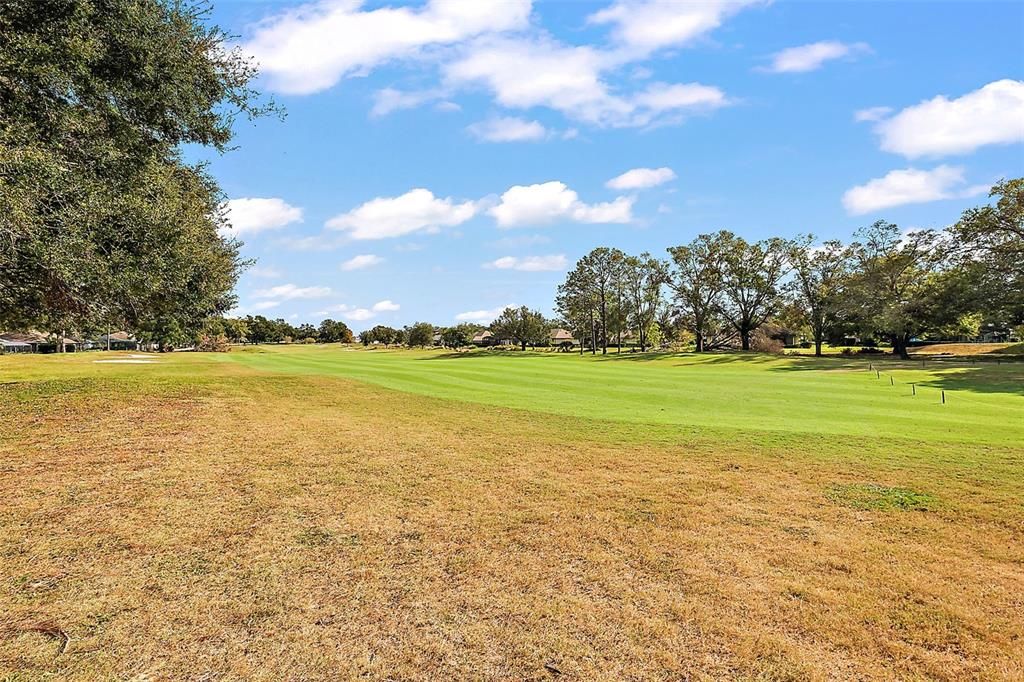 Golf Course View