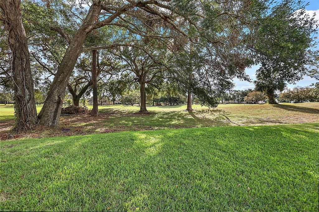 Golf Course View