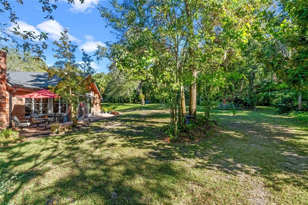 Yard and Back of house