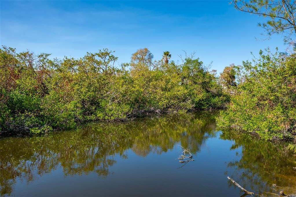 Sabal Lake