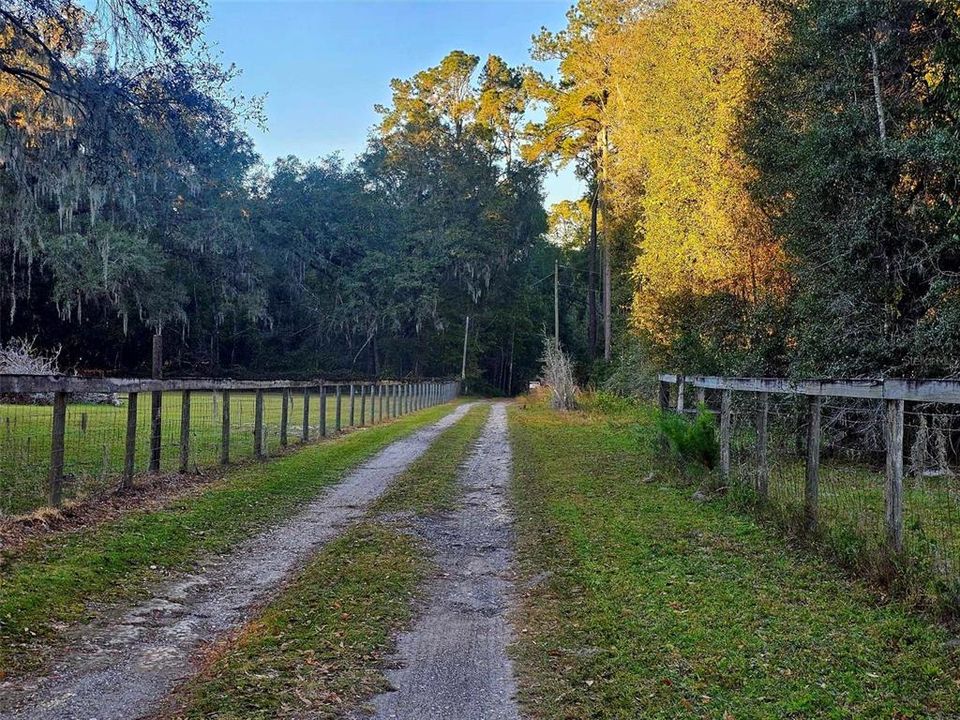 Road to driveway entrance