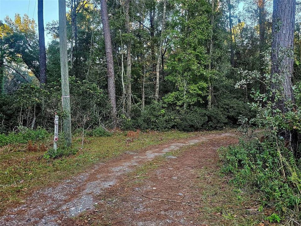 Driveway entrance