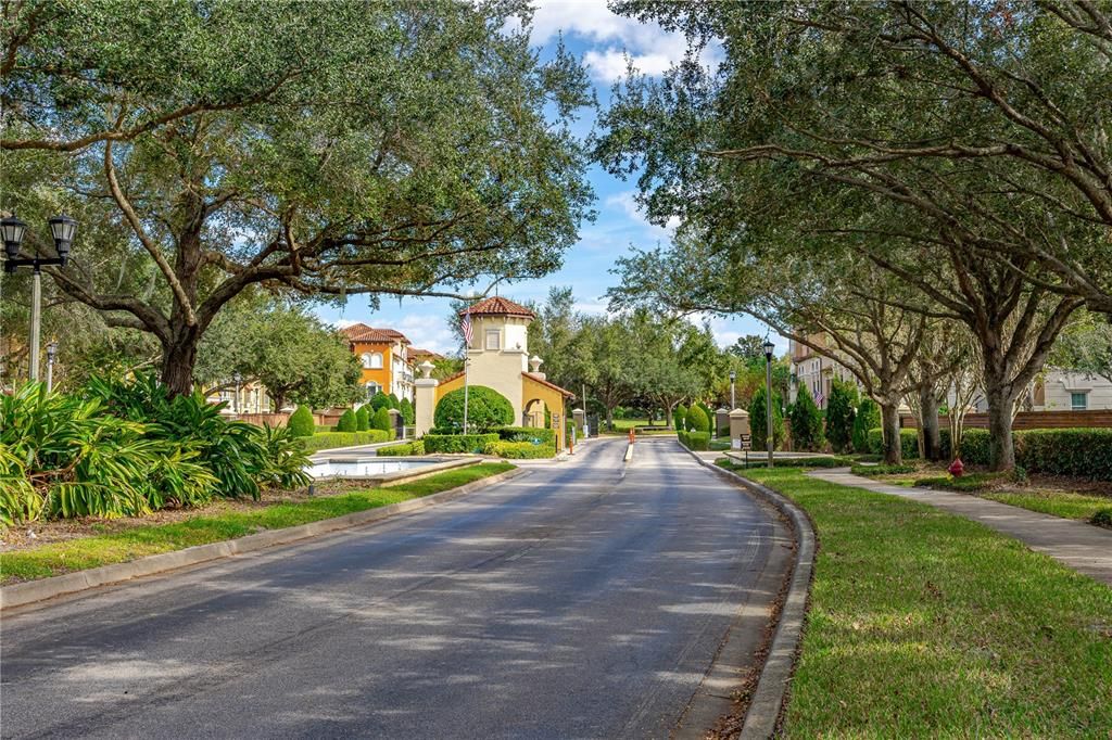 Beautiful trees and landscaping throughout the community