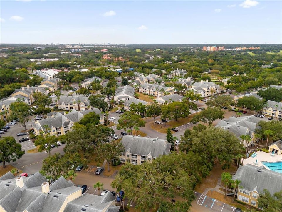 Aerial View of the neighborhood