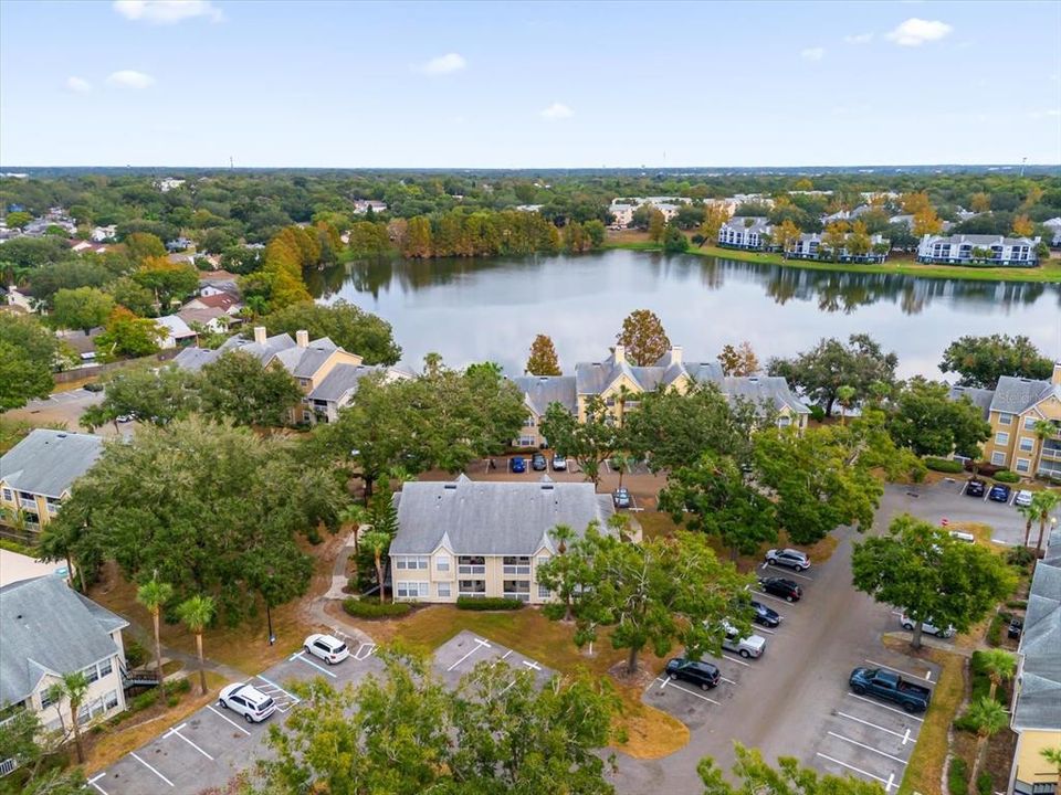 Aerial View with Lake