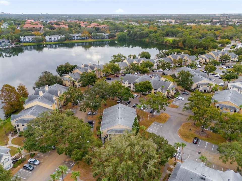 Aerial View of Community