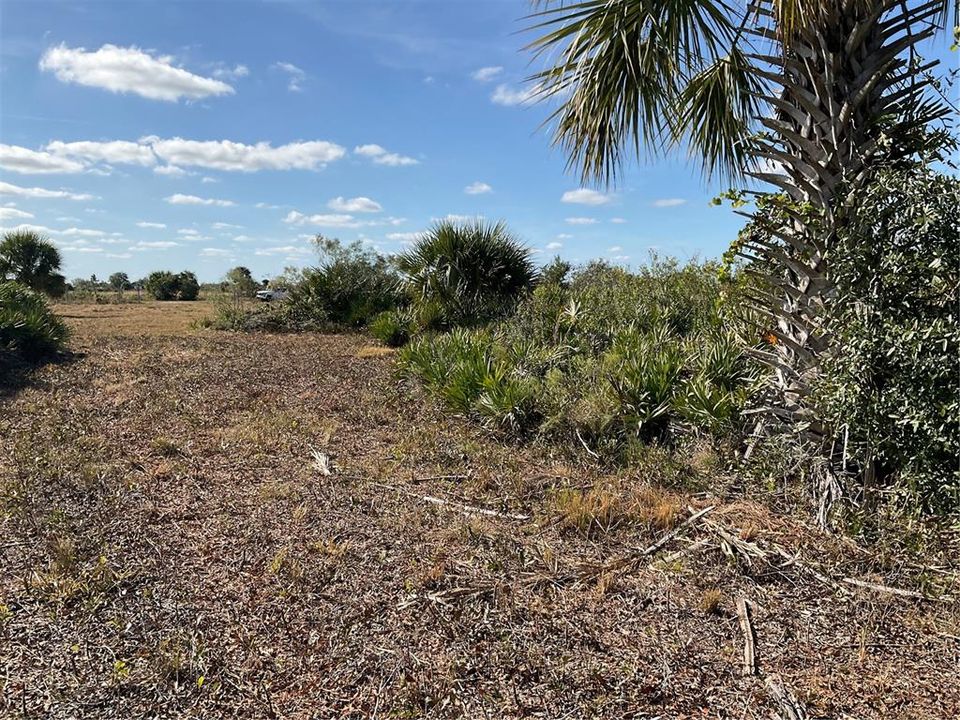 View from back of the property