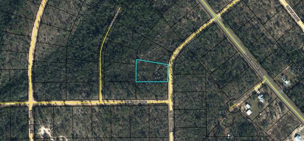 For Sale: $12,500 (1.38 acres)