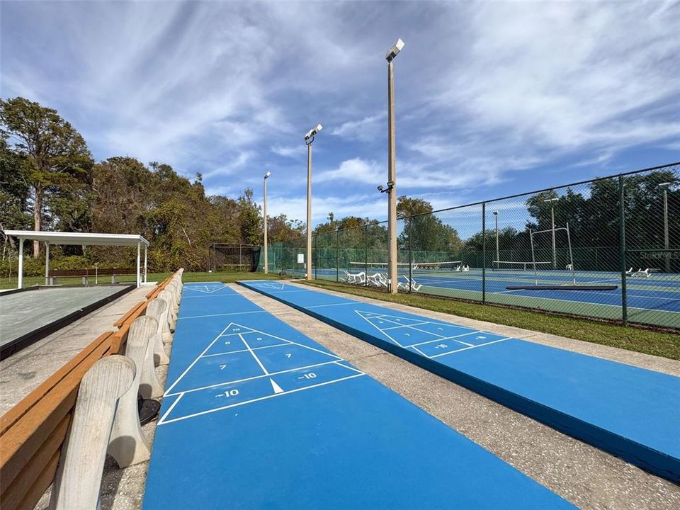 Shuffleboard