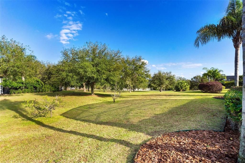 Rear backyard views...