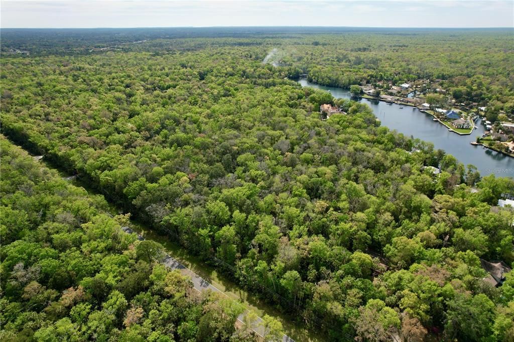 View of back of property and Halls River Rd