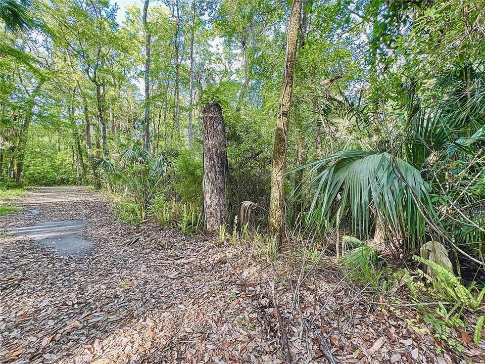 Front view of property