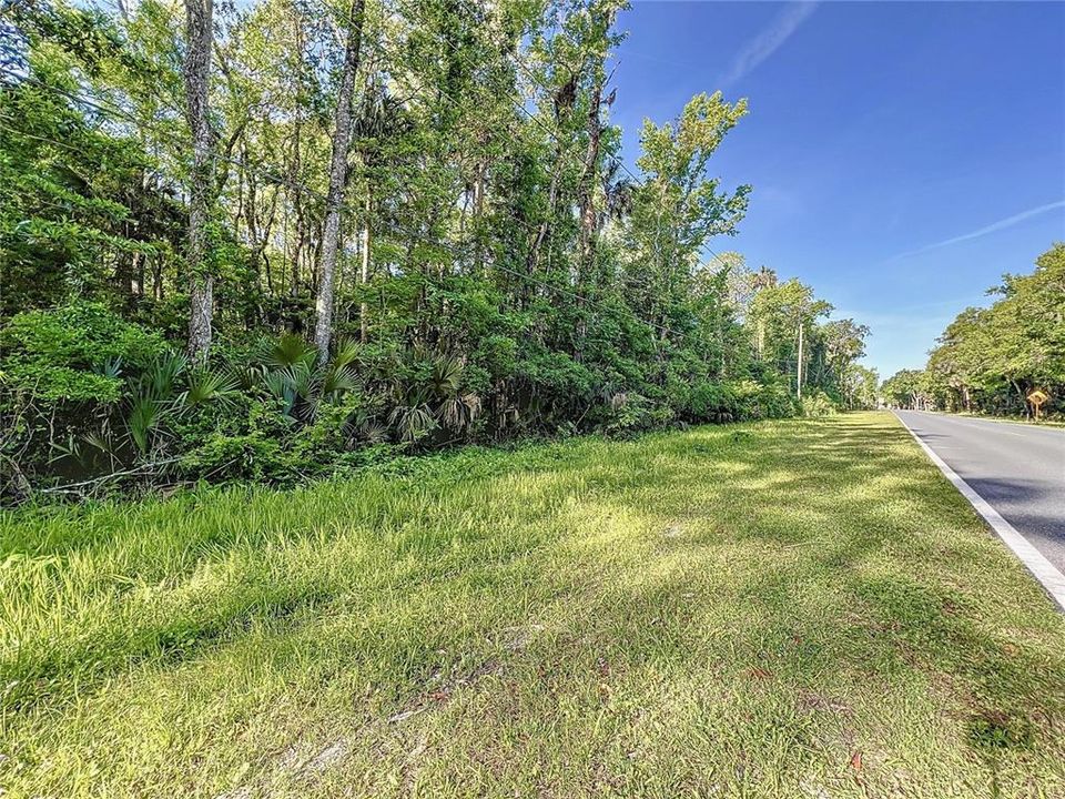 Back of property on Halls River Rd