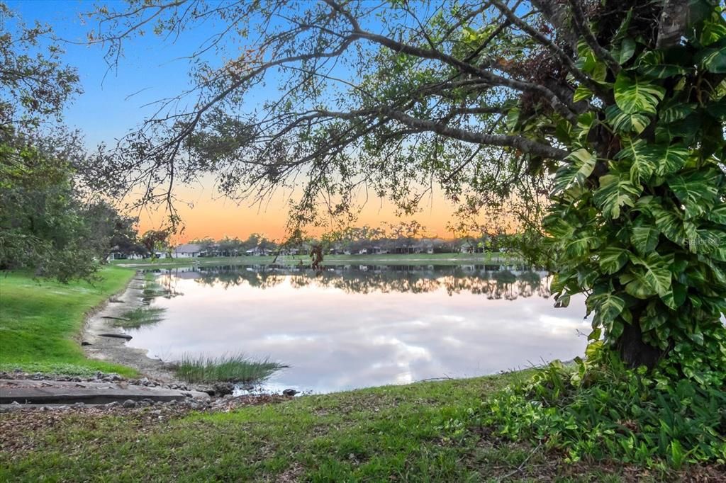 Pond view from rear of home