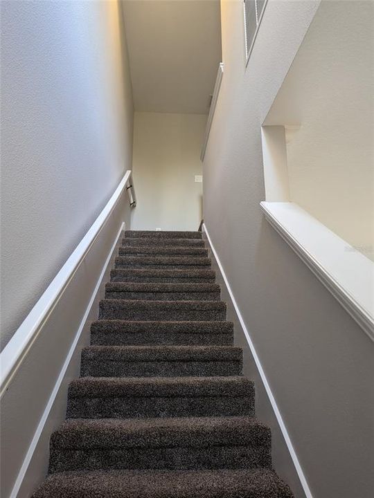 Carpeted stairs