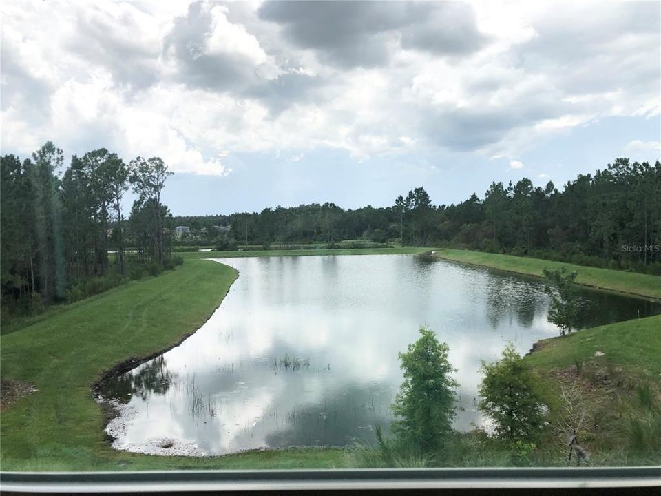 View from Master Bedroom