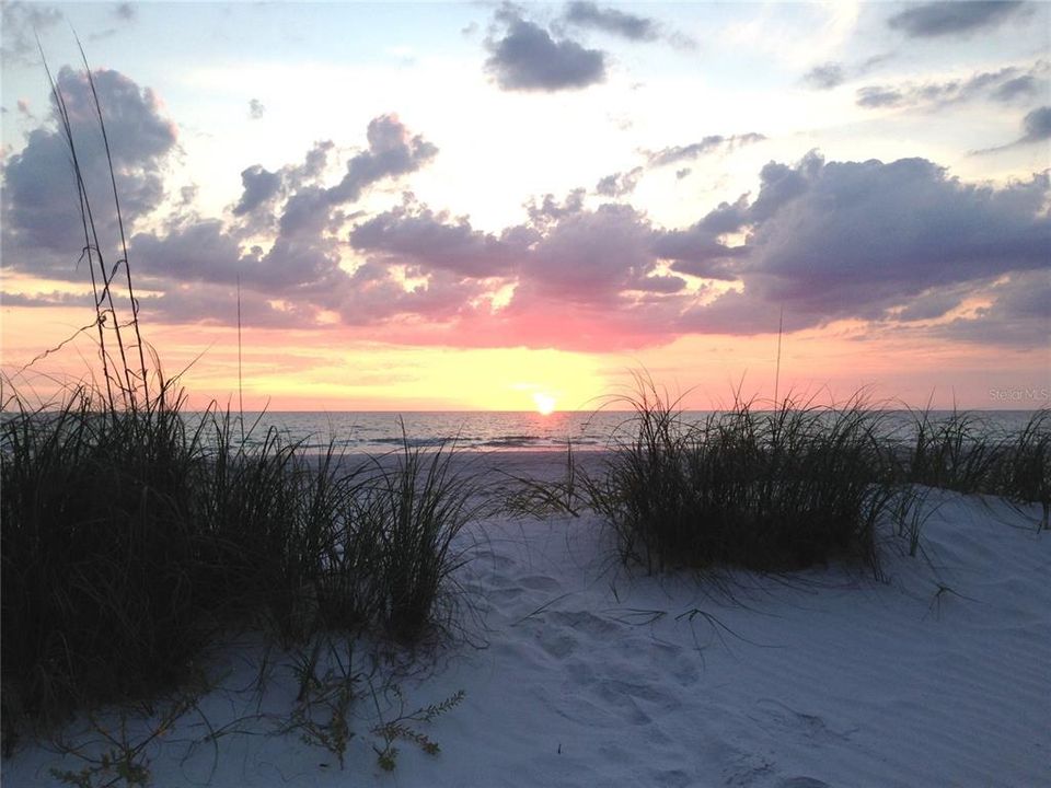 待售: $309,000 (1 贝兹, 1 浴室, 843 平方英尺)