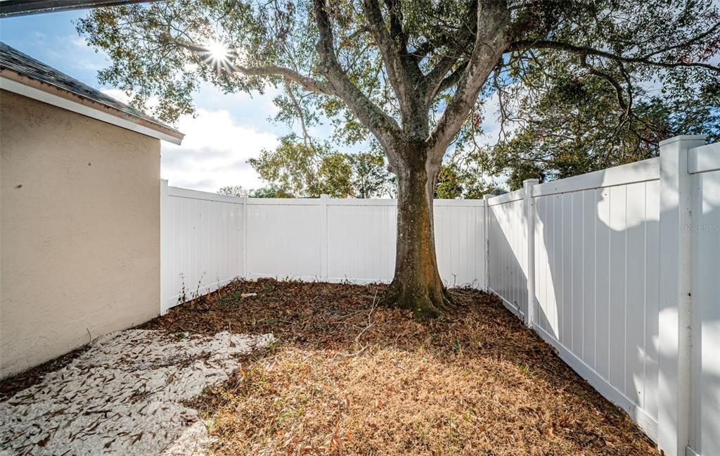 Backyard and newer privacy vinyl fence