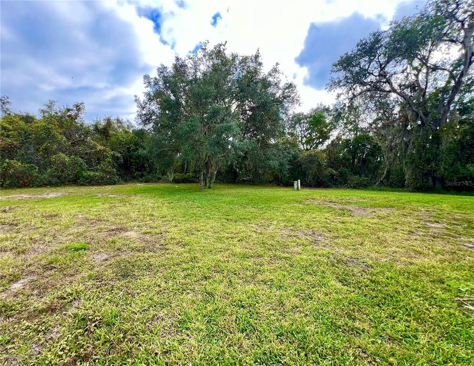 large back yard