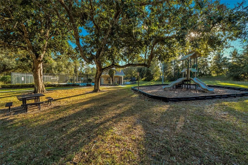 Playground & Picnic area - Nice and shaded in the afternoon