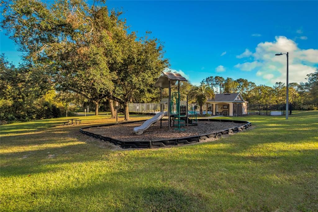 Playground & Picnic area - Nice and shaded in the afternoon