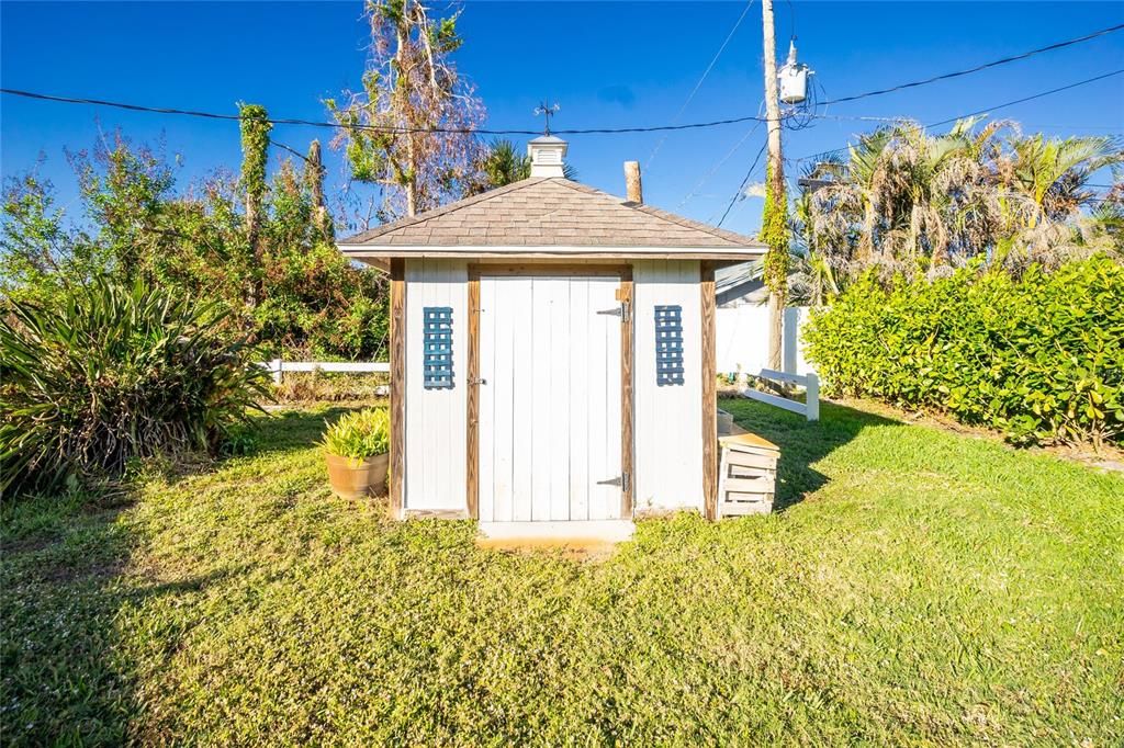 Shed in Backyard