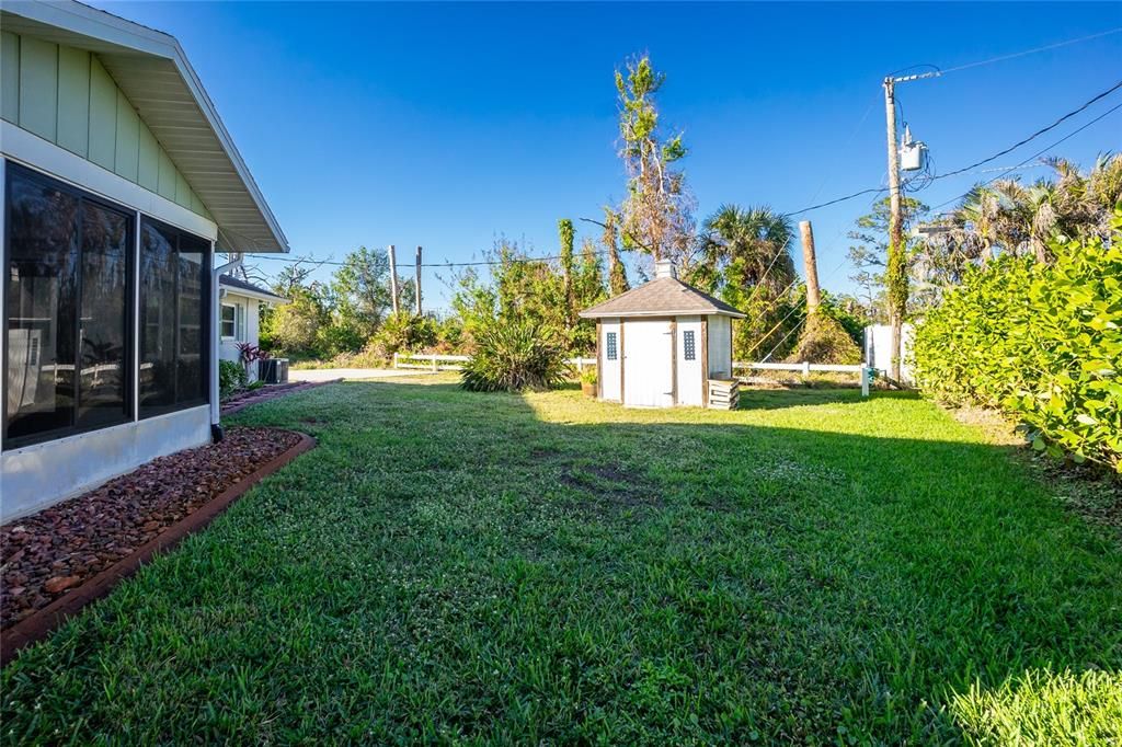 Backyard with Shed