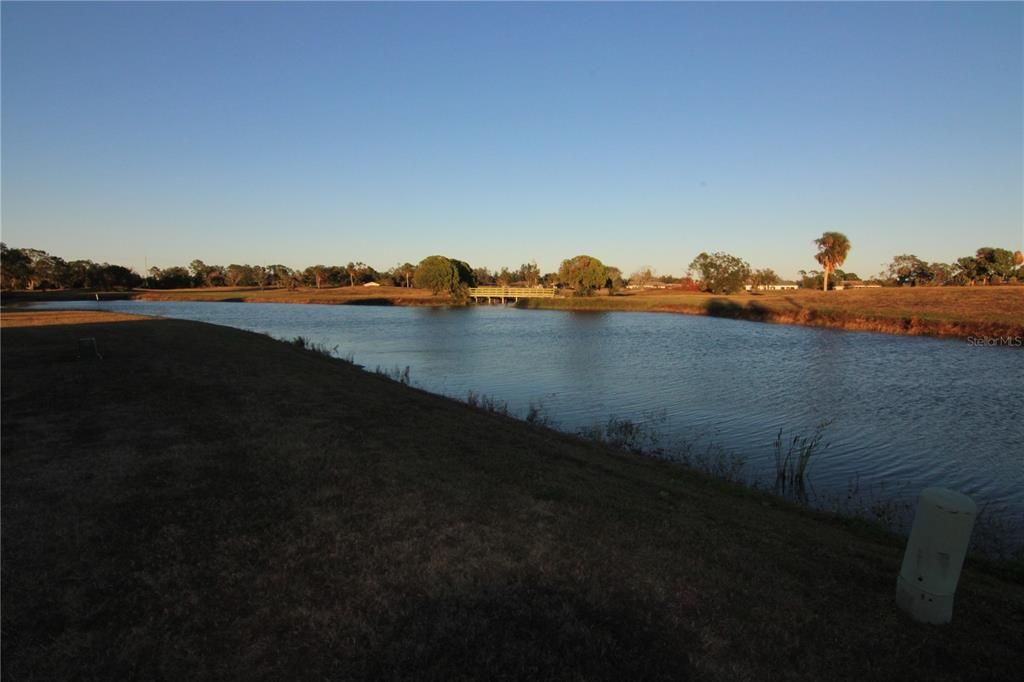 Pond View