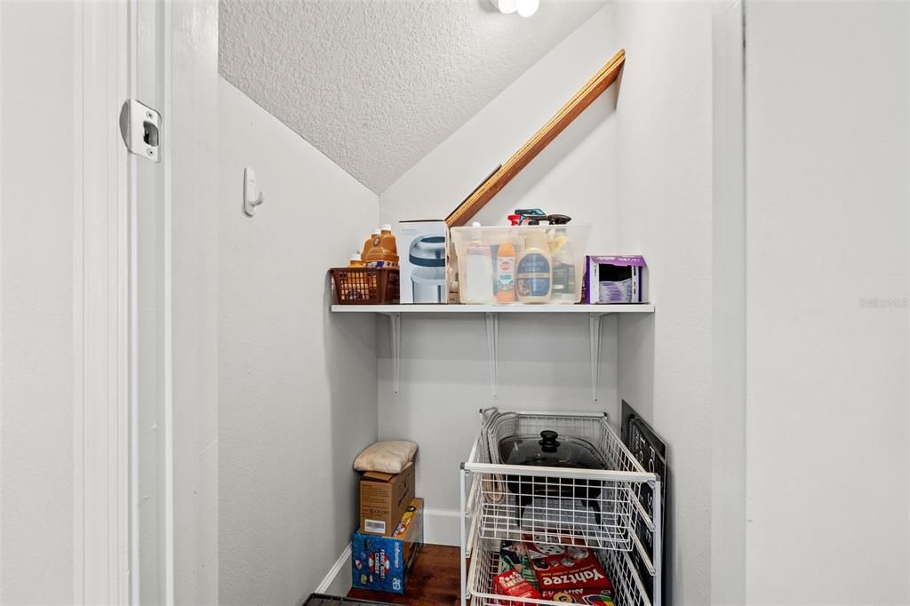 Downstairs under stairs storage room.