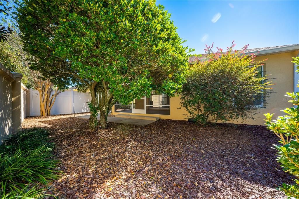 LOW MAINTENANCE FENCED YARD.