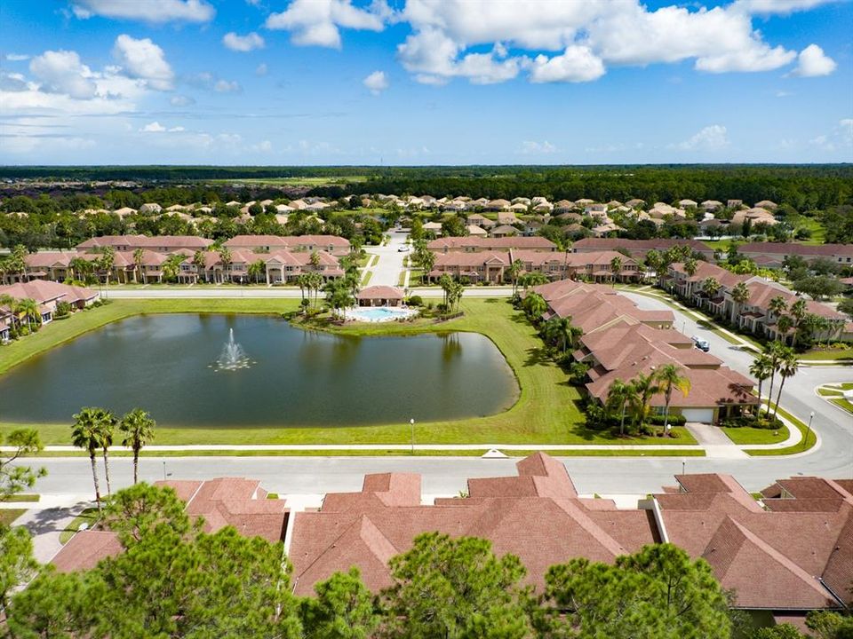 Water View aerial