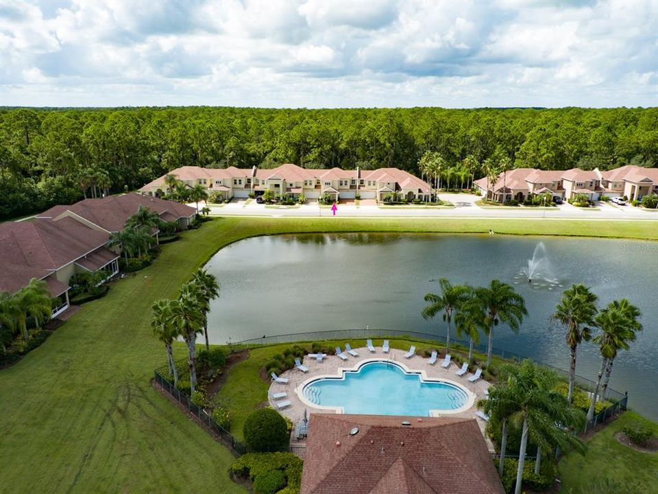 Aerial water and pool view Pic 2