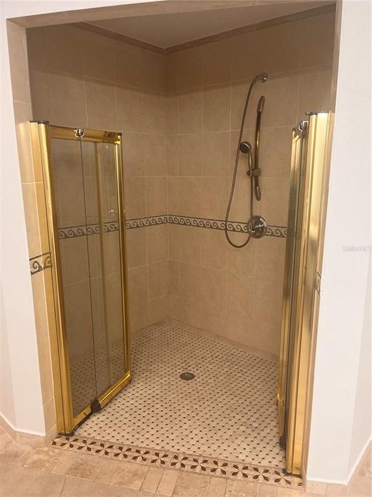 Primary Walk-In Shower