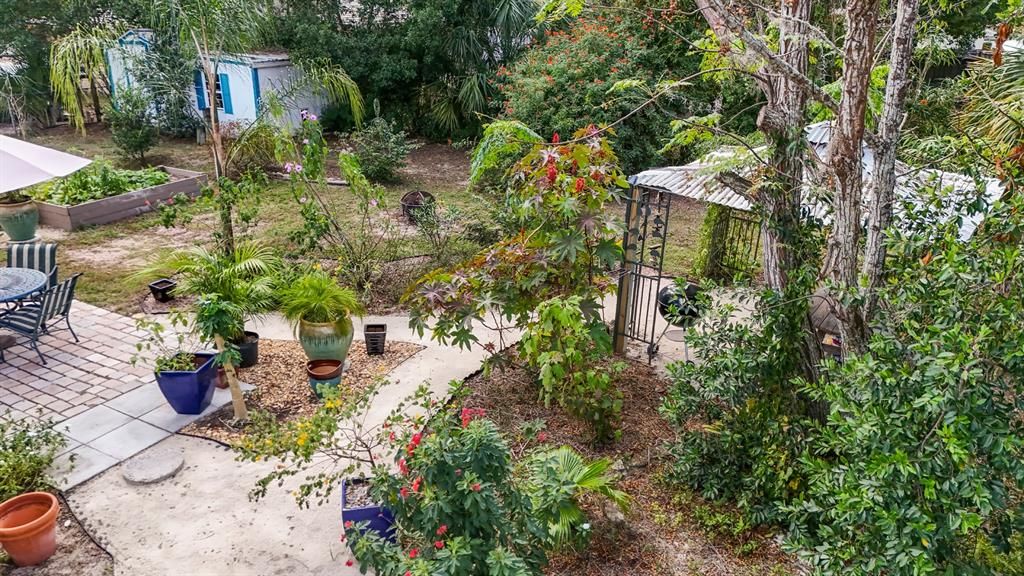 Aerial Backyard View