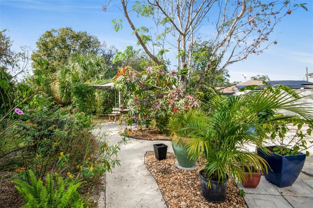 Flowering Shrubs Attractive ToButterflies & Pathway To Gazebo