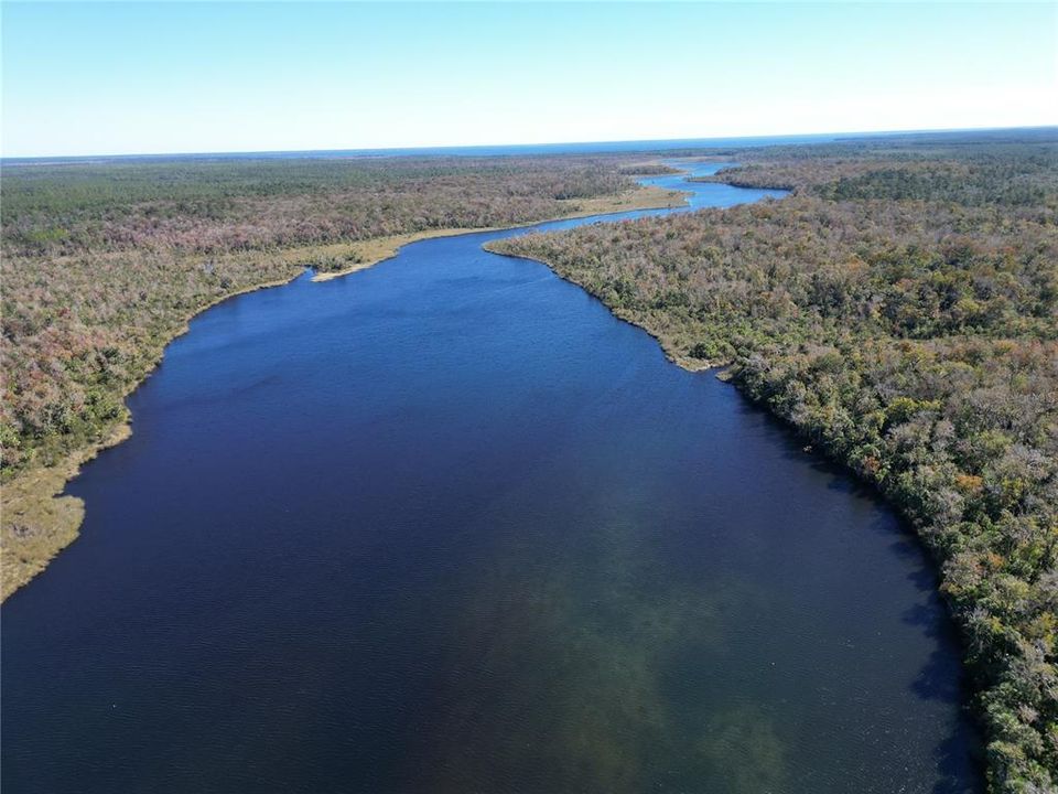 Salt springs run leading to Lake George