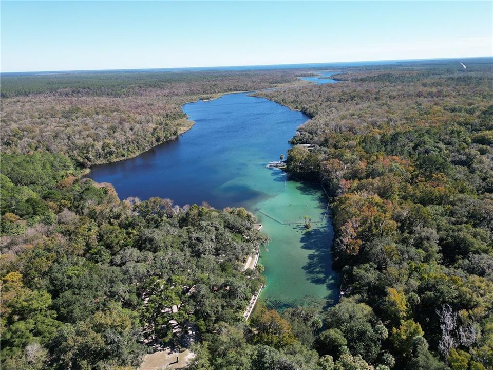 Salt Springs