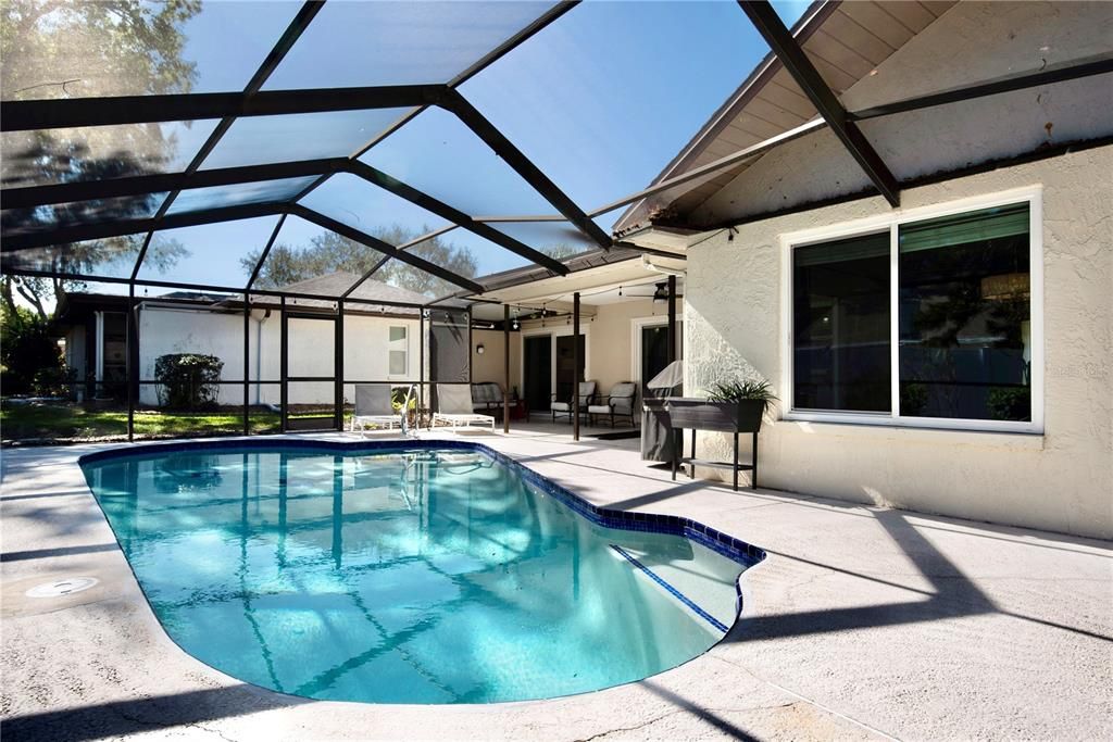 Screened pool.