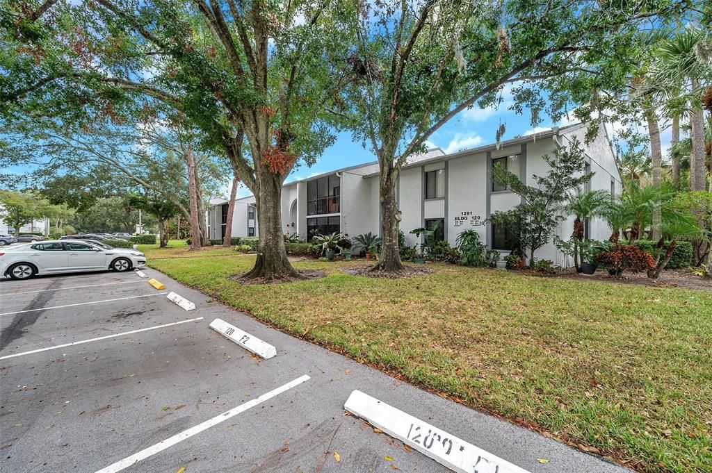 You have a designated parking spot directly in front of the walkway to your front door!