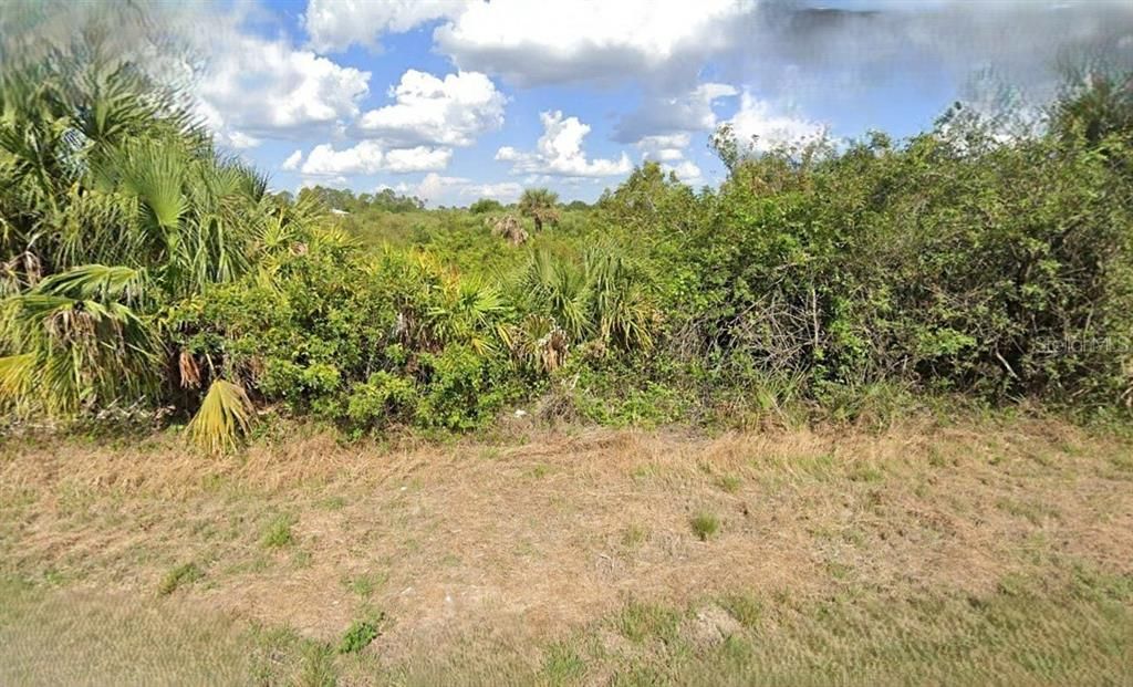 For Sale: $29,000 (0.23 acres)