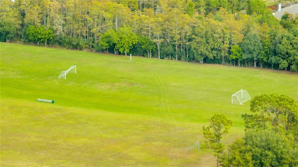 SOCCER FIELDS