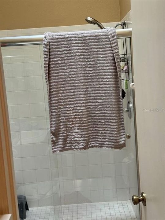 master shower