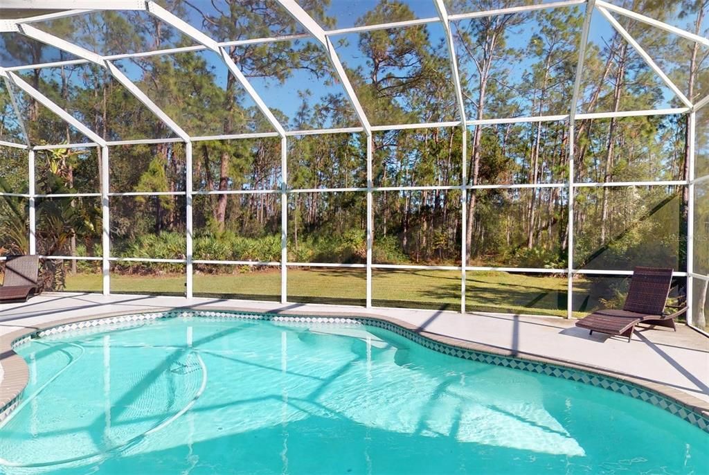 Pool and Yard View