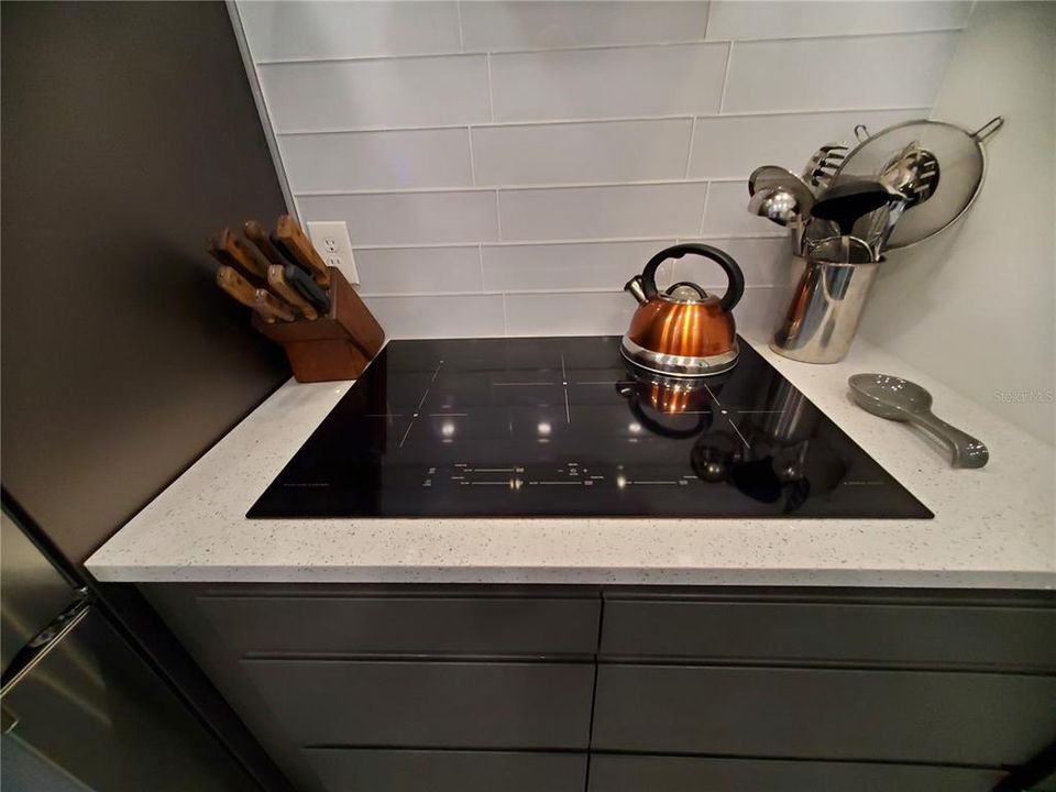 Built-in wall oven, Refrigerator, and "Induction" cook top. Note the Sweeping Hood.